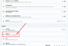 Win11传递优化怎么开启_Windows11传递优化开启办法