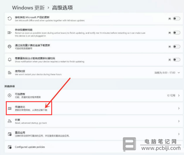 Windows11 传递优化开启办法