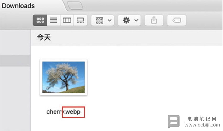 Mac 预览 WebP 格式图片详细教程