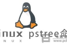Linux怎么查看进程树_Linux下pstree命令查看进程树详细教程
