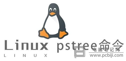 Linux 下 pstree 命令查看进程树详细教程