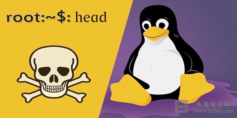 Linux 下 head 显示文件开头内容教程