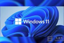 Win11怎么安装TPM诊断_Windows11启动TPM诊断的详细教程