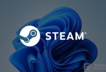 Win11和Steam不兼容怎么办_Windows11和Steam不兼容解决教程