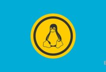 Linux的nobody是什么用户_Linux下nobody用户介绍