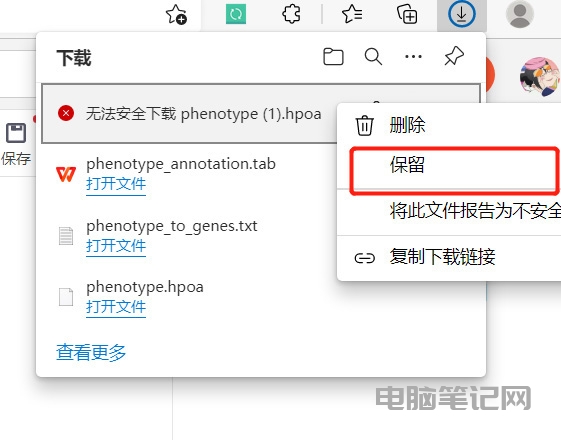 谷歌 Chrome 浏览器无法安全下载怎么办